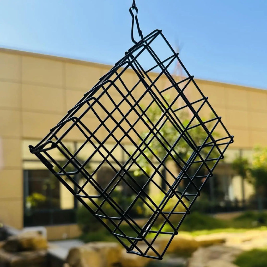 Suet Feeder Squirrel Proof Cage Birdwatching Station Reusable Wild