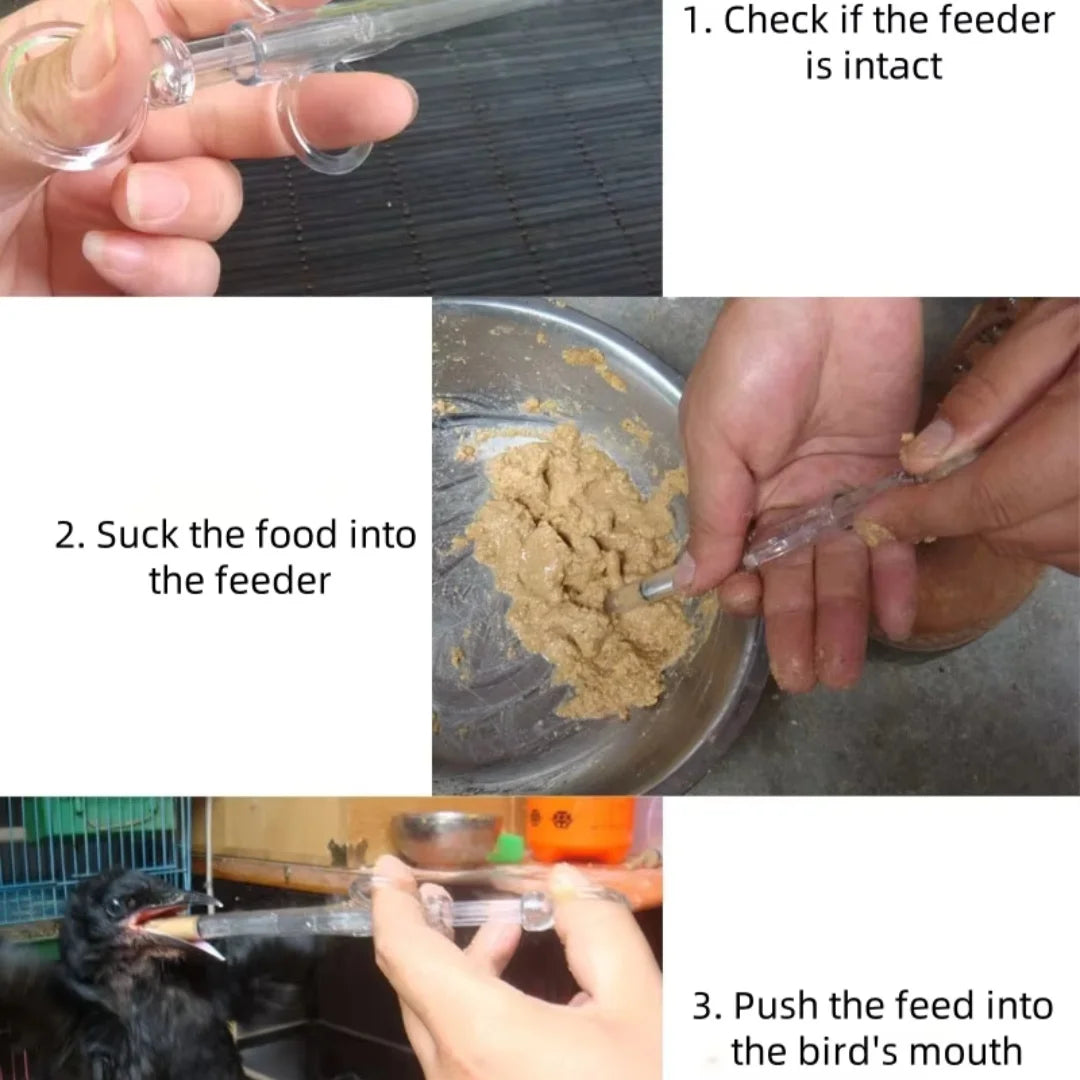 Budgie Parrot Chick Feeding Syringe Soft Tube Hand Bird Feeder Newly