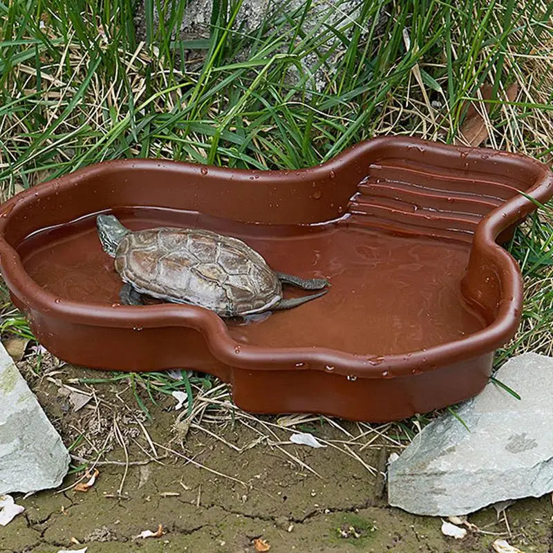Turtle Feeding Dish Large Reptile Feeder Ramp Basking Stand Food