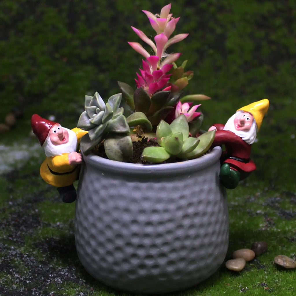 Gnome Figurine 8 Mini Fairy Garden Accessories Gnomes Sculpture