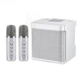Bluetooth Karaoke Speaker With 2 Wireless Microphones AUX TF U Disk Player Portable For Party Outdoor Zpaxo Sliver