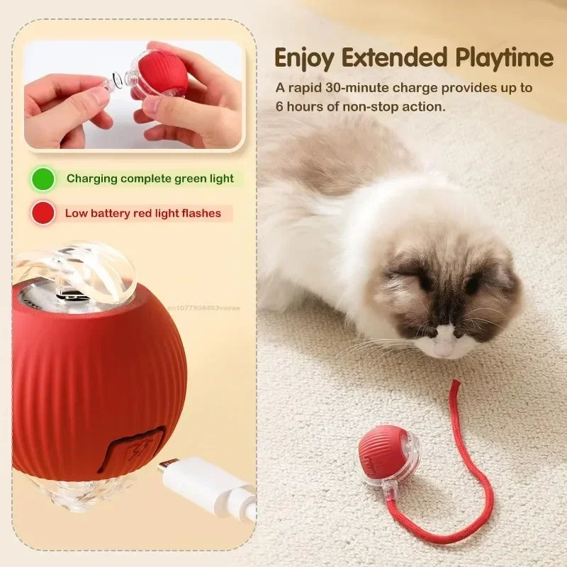 Interactive Cat Toys Automatic Rolling Ball Fake Tail Rechargeable Electric Pet Interactive Toy Dog Training Imitate Mouse Tail Zpaxo