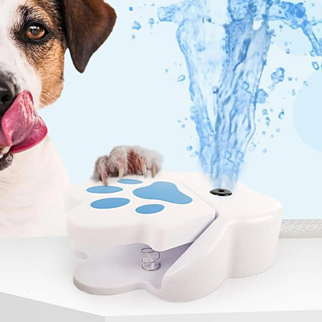 Paw Activated Dog Water Fountain Step Outdoor Pet Drinking Dispenser