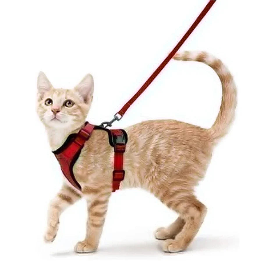 Cat Harness and Leash for Walking, Escape Proof Soft Adjustable Vest Harnesses for Cats, EasyControl Zpaxo Red S