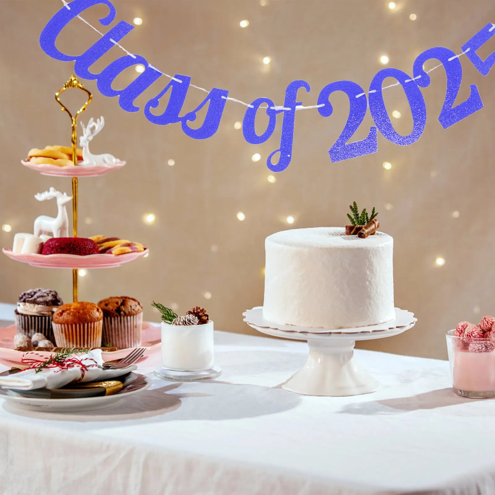 Graduation Banner 2025 Party Decoration Photo Prop Backdrop Ceremony