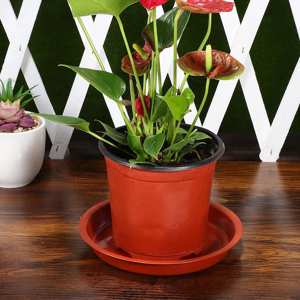 10Pcs Plant Trays Round Plastic Flower Pot Saucers Wear-Resistant Planter Plates Water Catcher Indoor Pots Gardening Accessories Zpaxo
