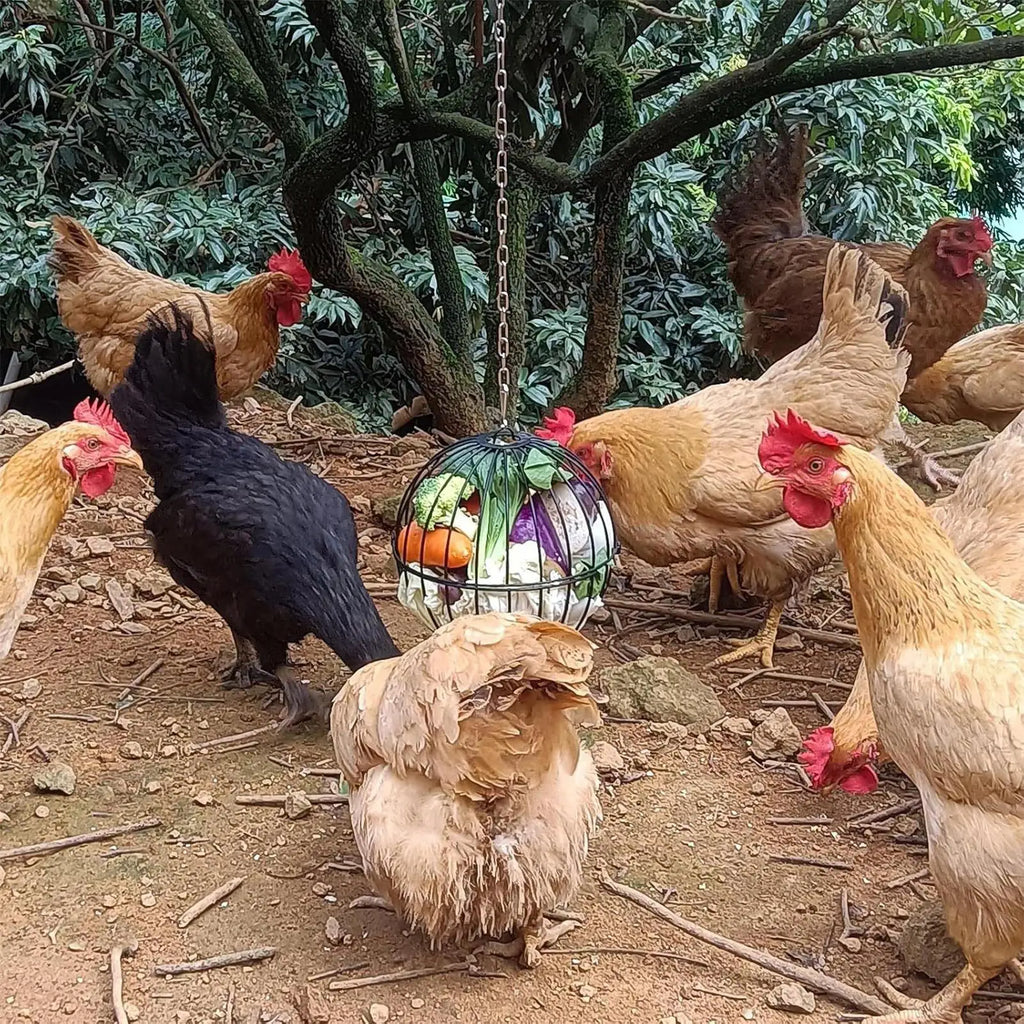 Chicken Feeders Adjustable Height Hen Food Dispenser Hangable Metal