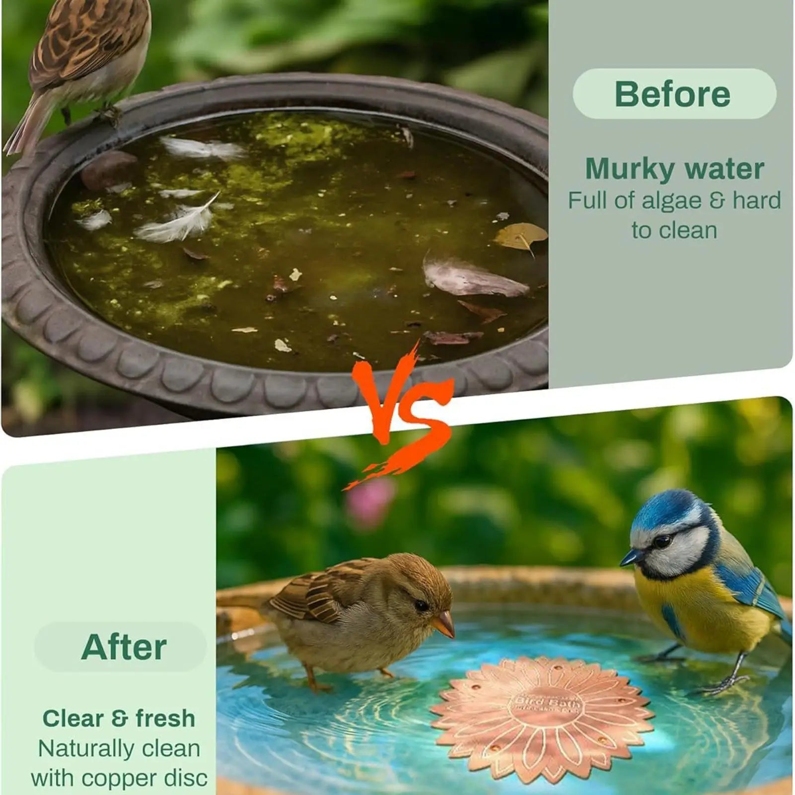 Bird Bath Copper Purification Panel Flower Shape Physical Safe Water