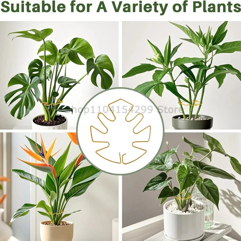 1-4 PCS Plant Fixing Clamp Flexible Plant Stem Golden Support Clips Adjustable Garden Fixator for Hydroponic & Indoor Plants Zpaxo