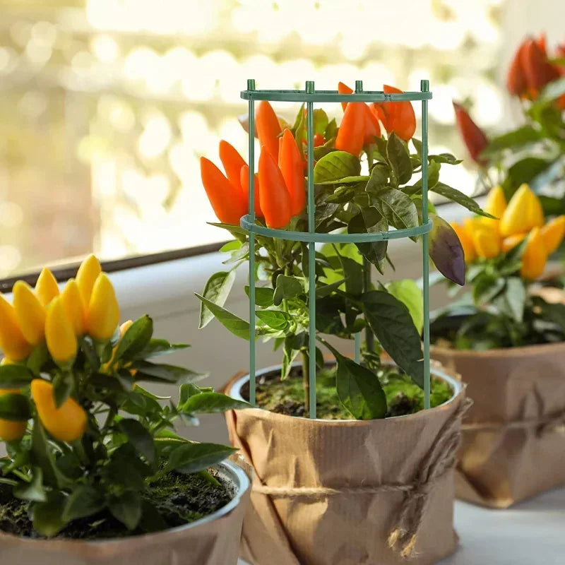 Plastic Plant Support Pile Stand Flowers Greenhouses Arrangement