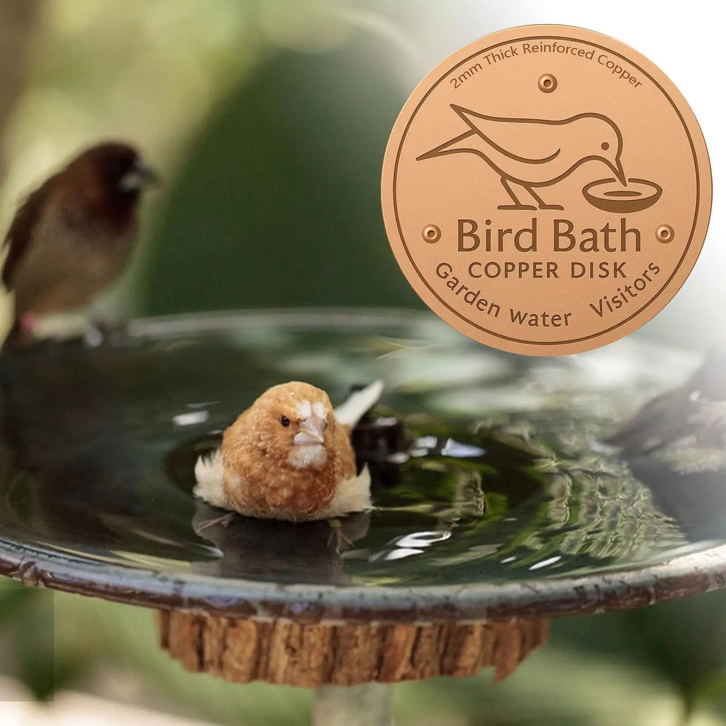 Bird Bath Copper Disk Birdbath Cleaner Feeder Accessories Triple-Point Support Purification Disc for Water Bowl All-Season Zpaxo