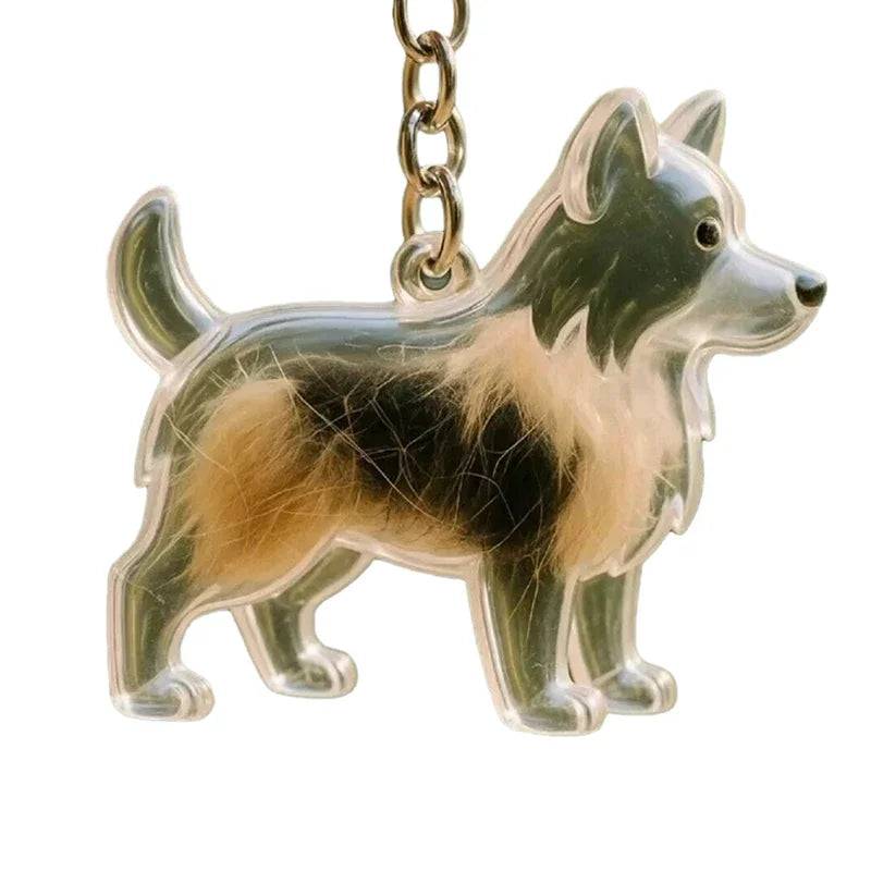 Transparent Cat Dog Hair Storage Box Pendant Keychain Collect Pets Hair Commemorate Bag Pendant Save Cat Hair Storage Capsule Zpaxo