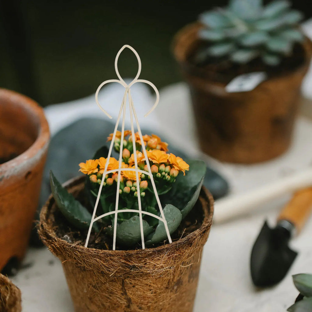 4Pcs Mini Plant Trellis Metal Climbing Support Sturdy Iron DIY Garden Frame for Potted Plants Indoor Vine Display Small Space Zpaxo