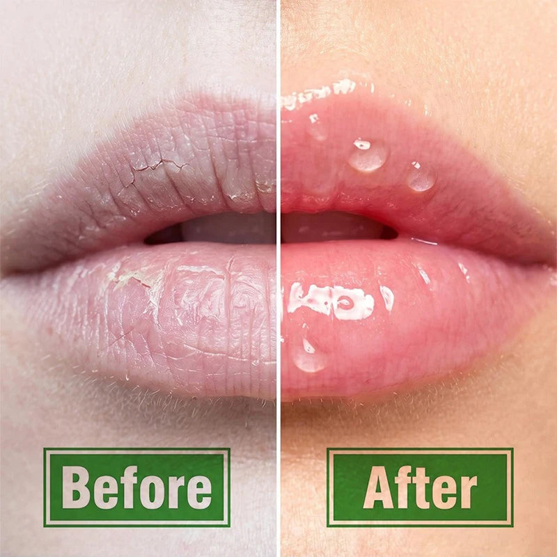 Hydrating Aloe Lipstick Strong Moisturizing Effect Lip Balm Prevent Dryness and Cracking Long-lasting Non-sticky Lipstick Makeup Zpaxo