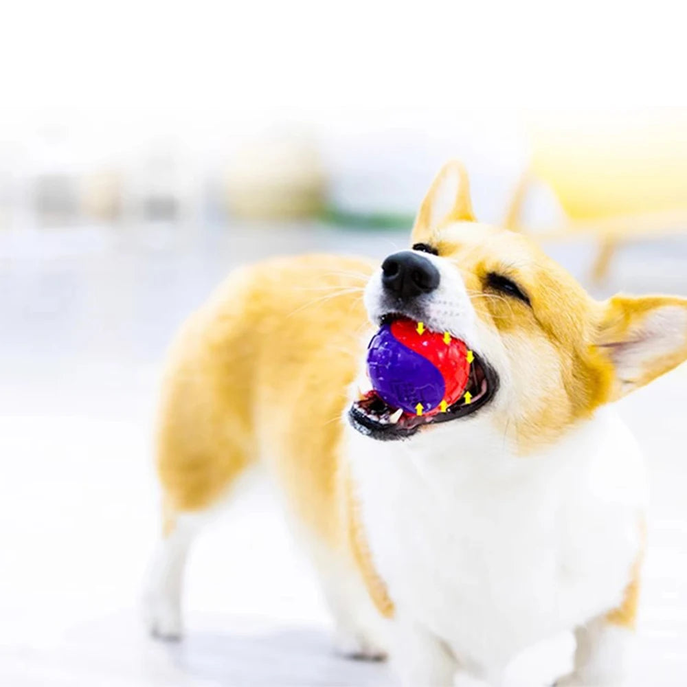 Pet Dog Puppy Squeaky Chew Toys Sound Pure Natural Non-toxic Rubber Zpaxo