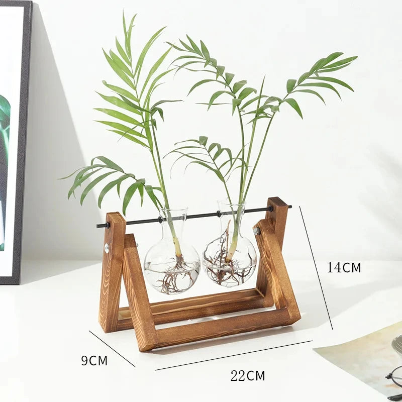 Plant Glass Container Wooden Stand 3 Bulb Planters Nurturing Station Zpaxo G3262B