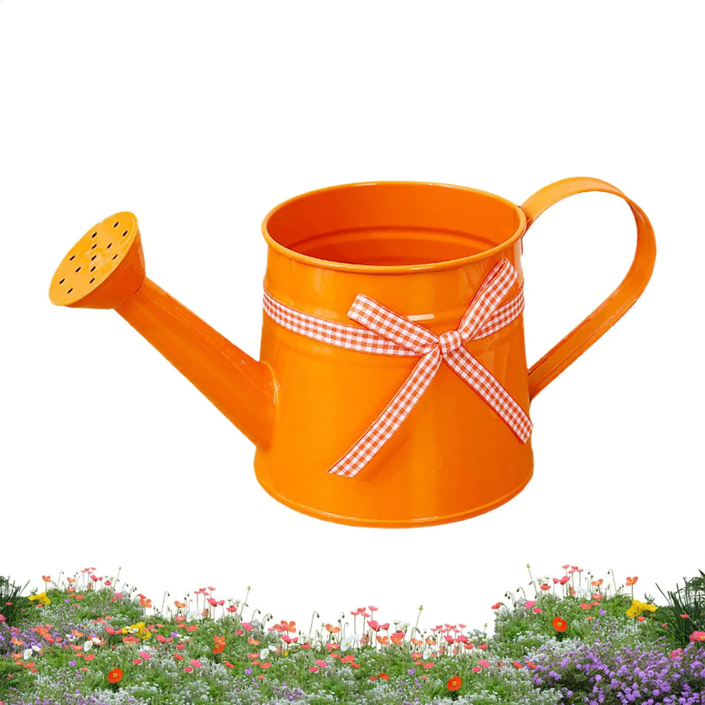 Mini Metal Watering Can – Decorative Indoor Plant Sprinkler Decorative Watering Can Zpaxo