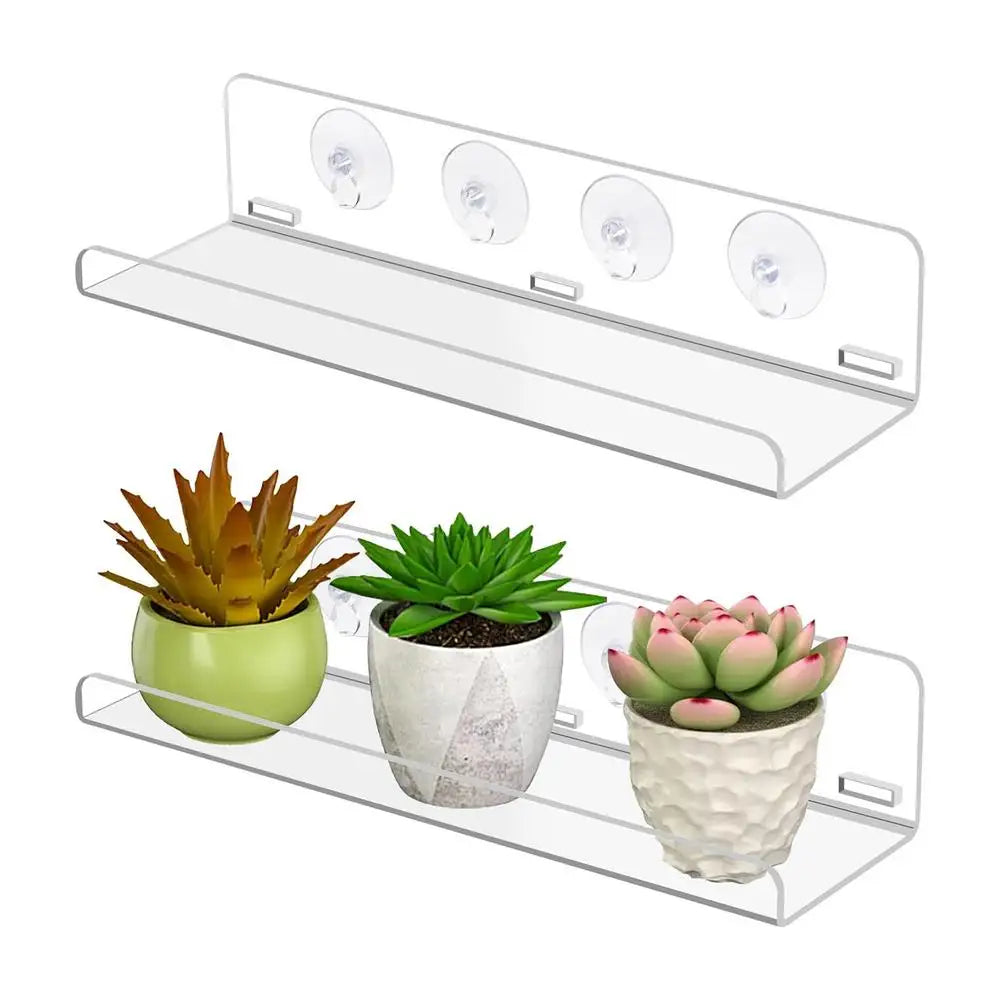 Plant Shelf for Window 2 Pieces Clear Suction Cup Planter Stand Indoor Plant Display Rack for Home Apartment Nature Lovers Zpaxo 2pcs CN