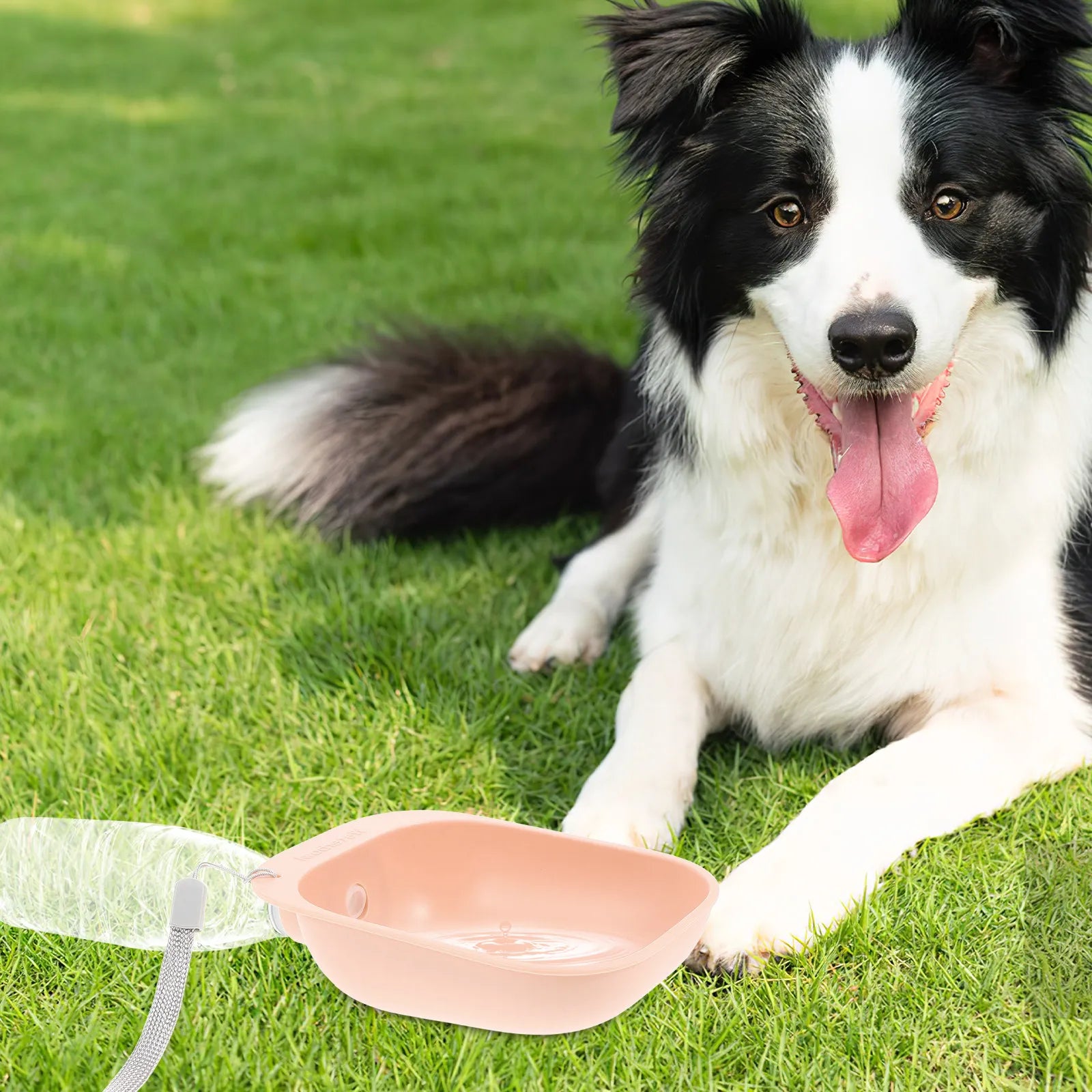 Pet Water Bottle Bowl Adapter Outdoor Portable Proof Travel Drinking