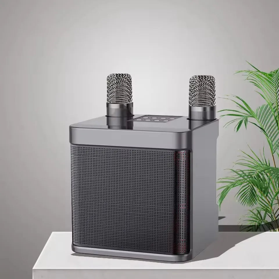 AyeBeau Portable Karaoke Bluetooth Speaker with Microphone Karaoke Bluetooth Speaker Zpaxo