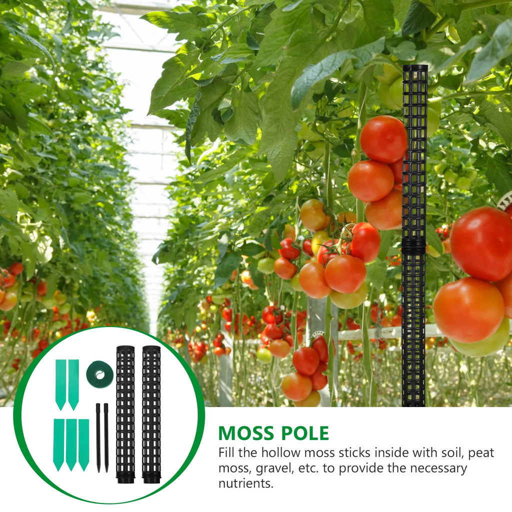 1Set Moss Pole Plant Support Column Plastic Hard Stable Trellis for Climbing Plants Indoor Vine Peas Roses Moss Pole Zpaxo