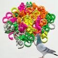 Personalized Inner Plastic Pigeon Dove Bands Rings Custom Laser