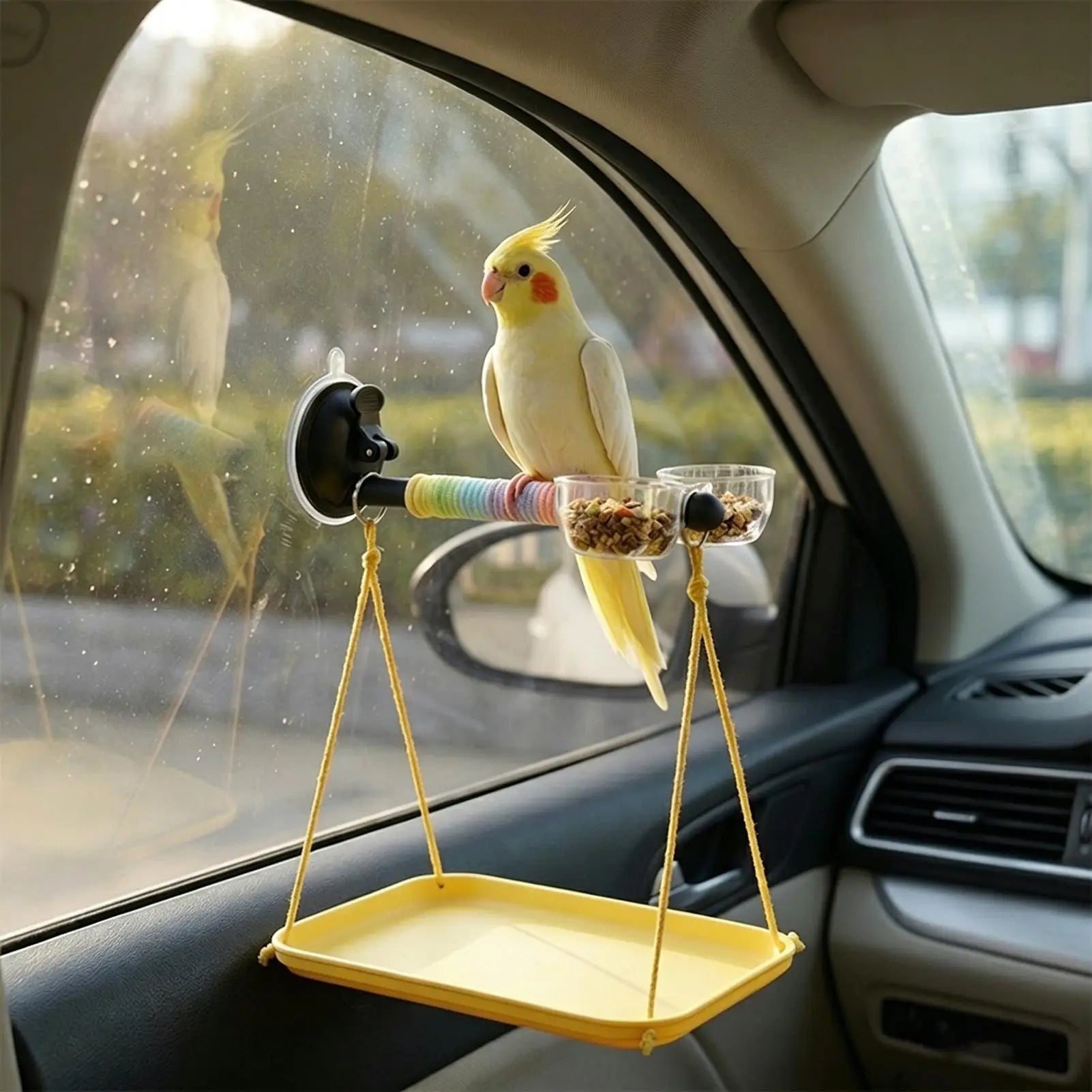 Window Perch Birds Suction Cup Interactive Toy Bird Shower Parakeet