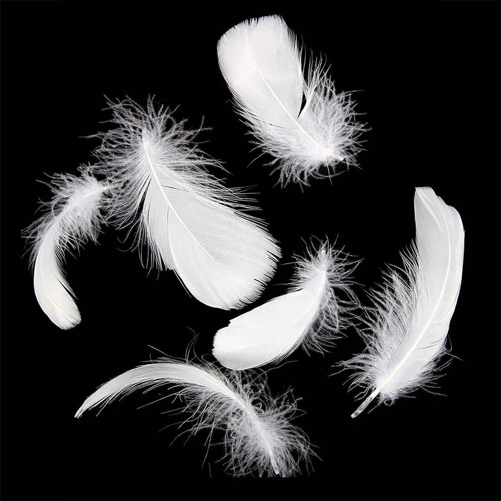 100Pcs White Feather Goose Feathers for Crafts DIY Wedding Party Halloween Decoration Goose Nagoire Feathers Zpaxo