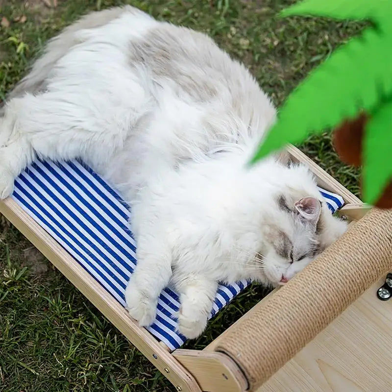 New Cat Beach Chair Summer All Seasons Elevated Cat Bed With Sisal Scratcher For Cat Outdoor Indoor Beach Chair Zpaxo
