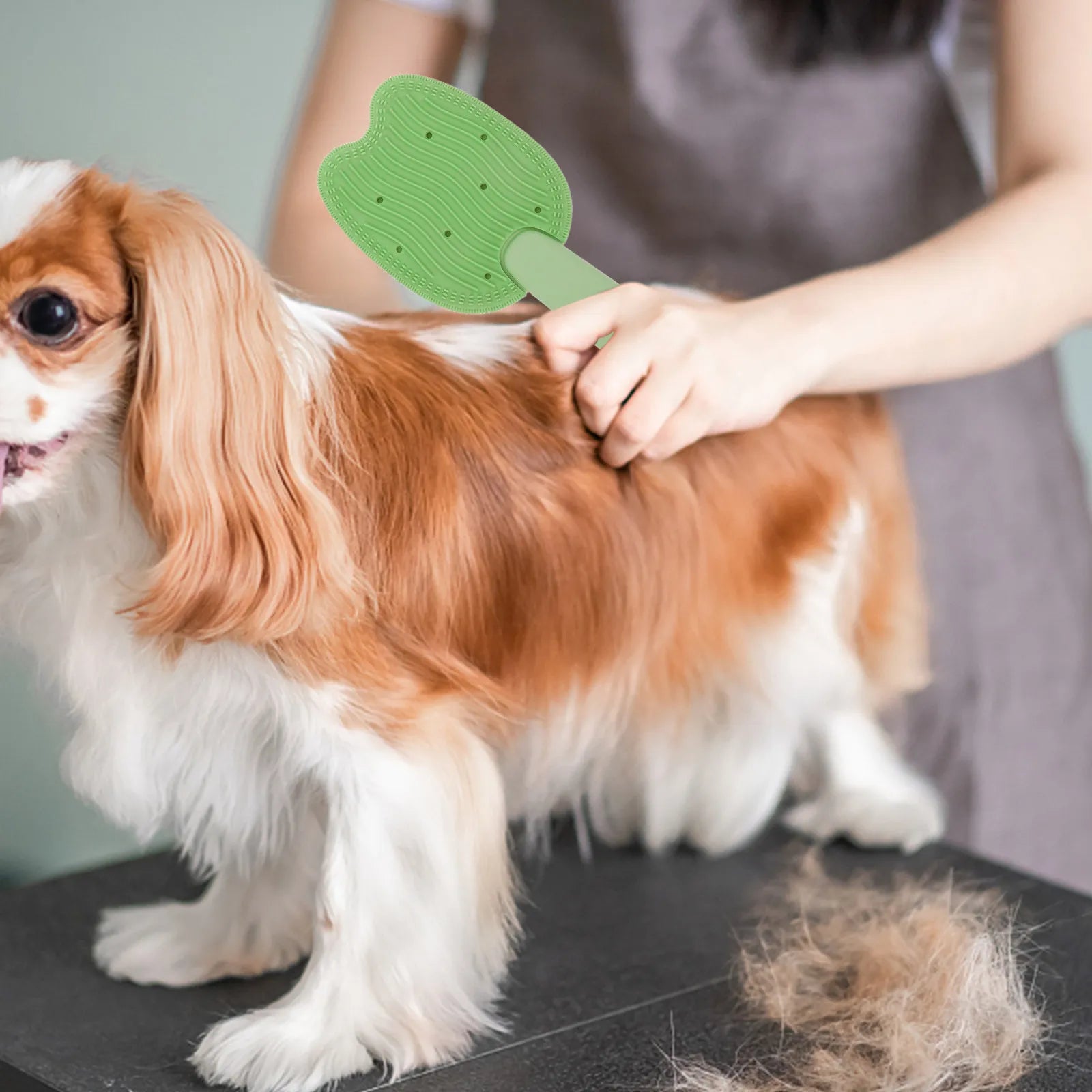 Washable Dual Side Cat Brush Hair Removal Comb Multipurpose Grooming
