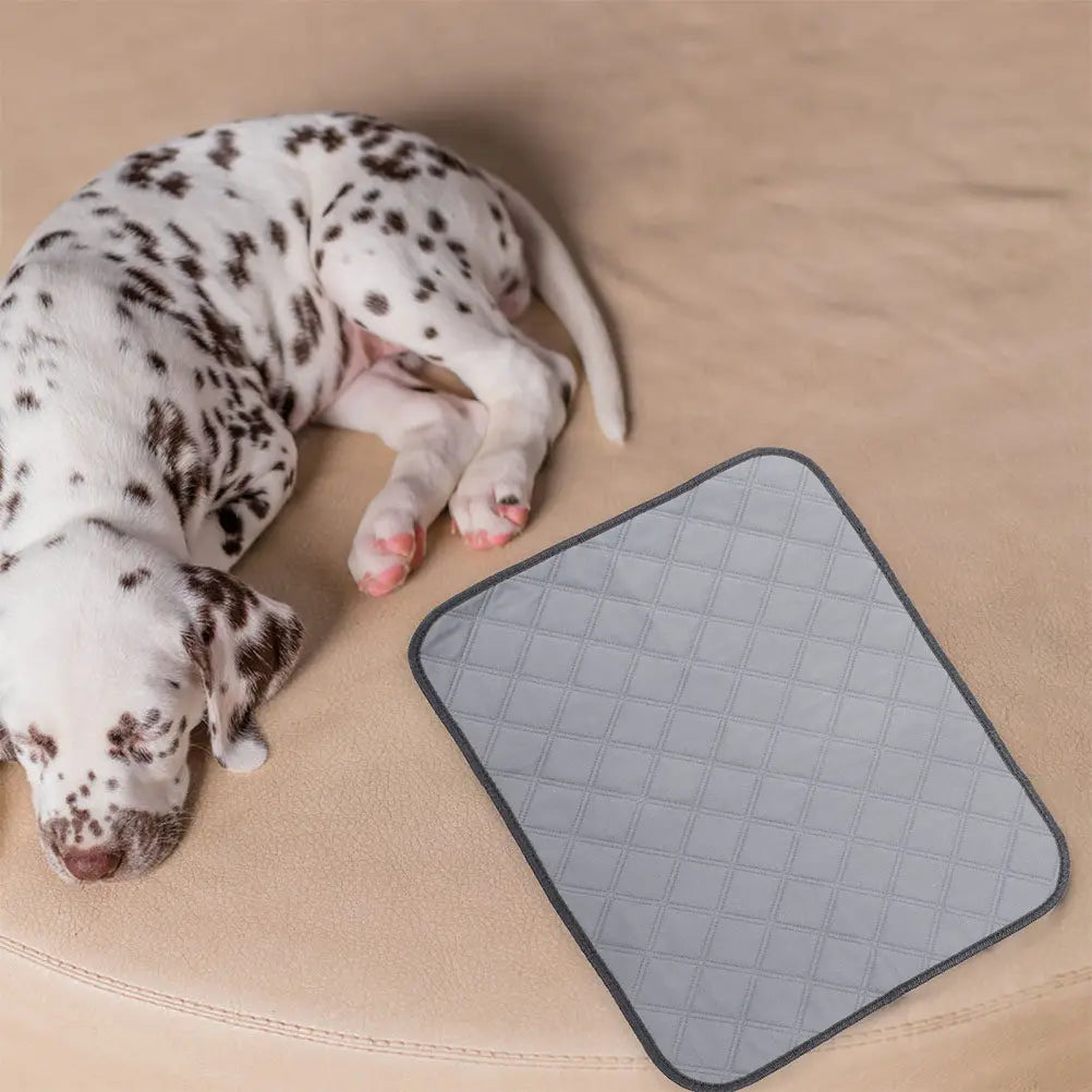 Reusable Dog Pee Pad Large Comfortable Soft Texture Absorption Odor