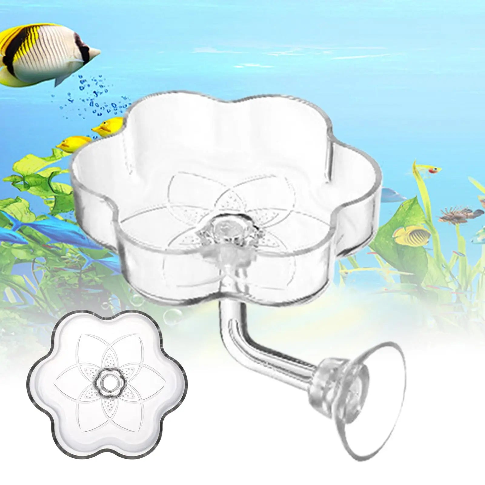Fish Tank Feeder Aquarium Clear Dish Tray Shrimp Suction Cup Flower Shaped Shrimp Bowl Feeder Tube for Fish Tank Feeder Tray Zpaxo