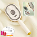 2 in 1 Water Spray Hairbrush Electric Spray Air Cushion Scalp Massager Self Cleaning Steam Essential Oil Brush Rechargeable Zpaxo Beige