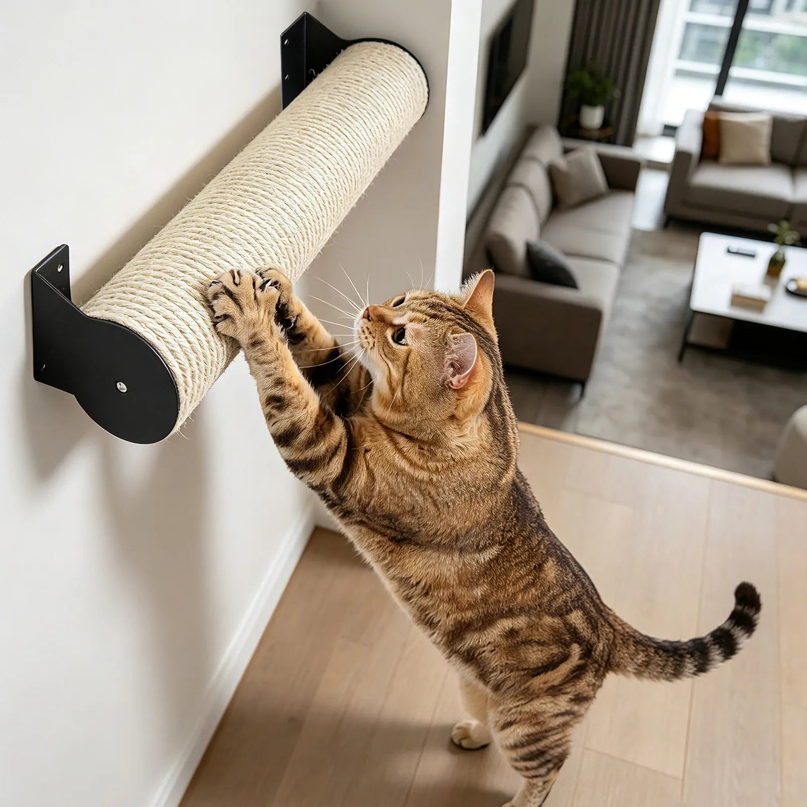 Cat Climbing Pole Bracket Heavy Duty Wall Mounted Trees Shelves Steps