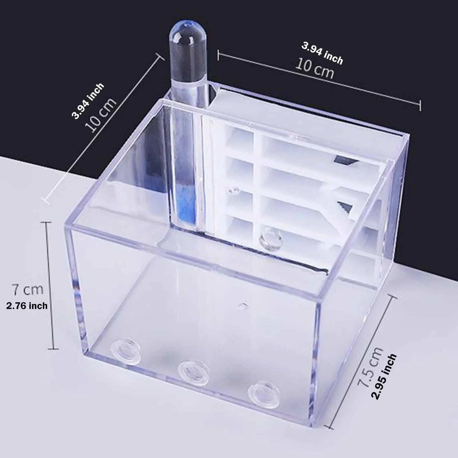 ANT Farm DIY Science Educational Study Easy Assemble Habitat Home Zpaxo