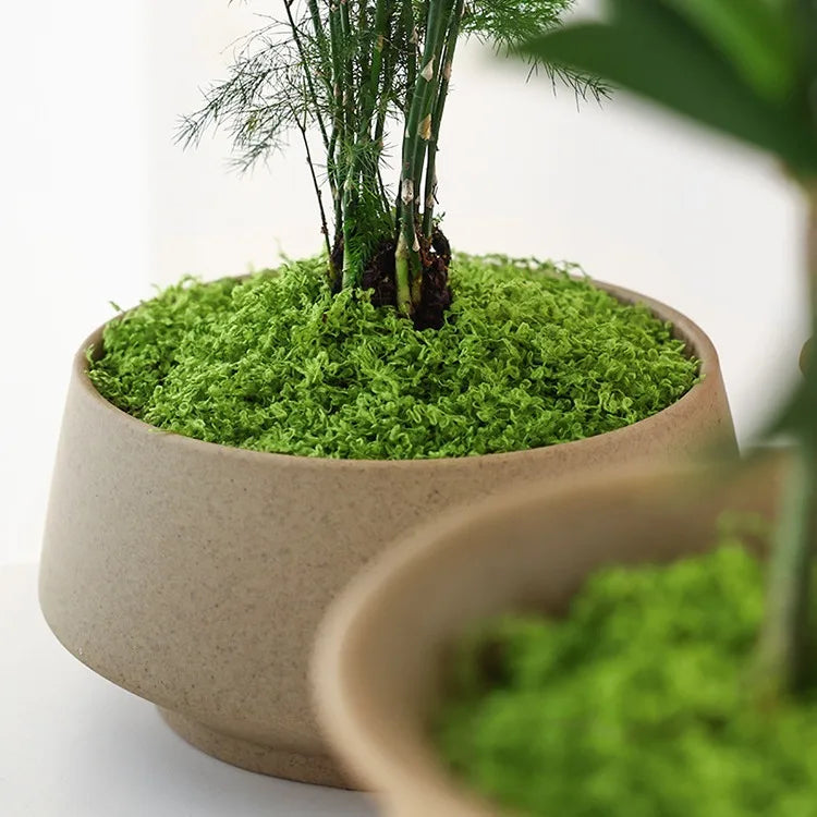 Artificial moss filaments moss lawn people fake moss do not fade DIY scene layout Zpaxo