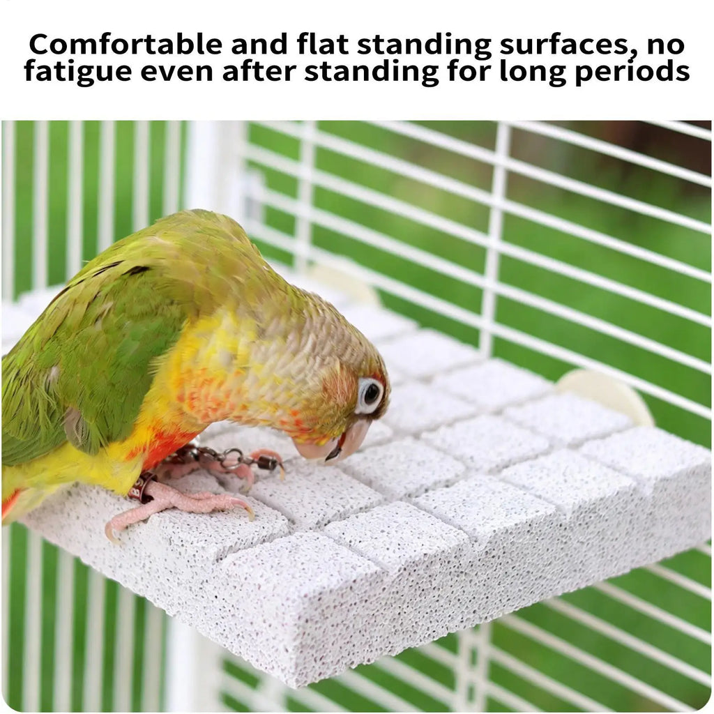 Natural Volcanic Rock Bird Perch Parakeet Chewing Toy Grinding Stone