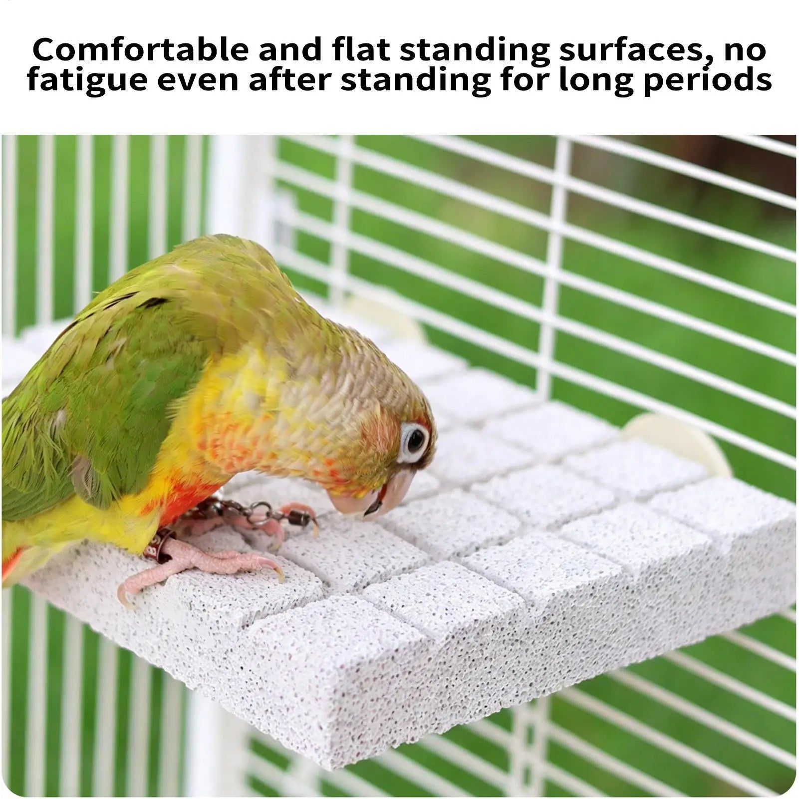 Natural Volcanic Rock Bird Perch Parakeet Chewing Toy Grinding Stone