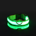 Nylon LED Night Safety Flashing Glow In The Dark Dog Leash Dogs Luminous Fluorescent Pet Dog Collar Zpaxo green XL