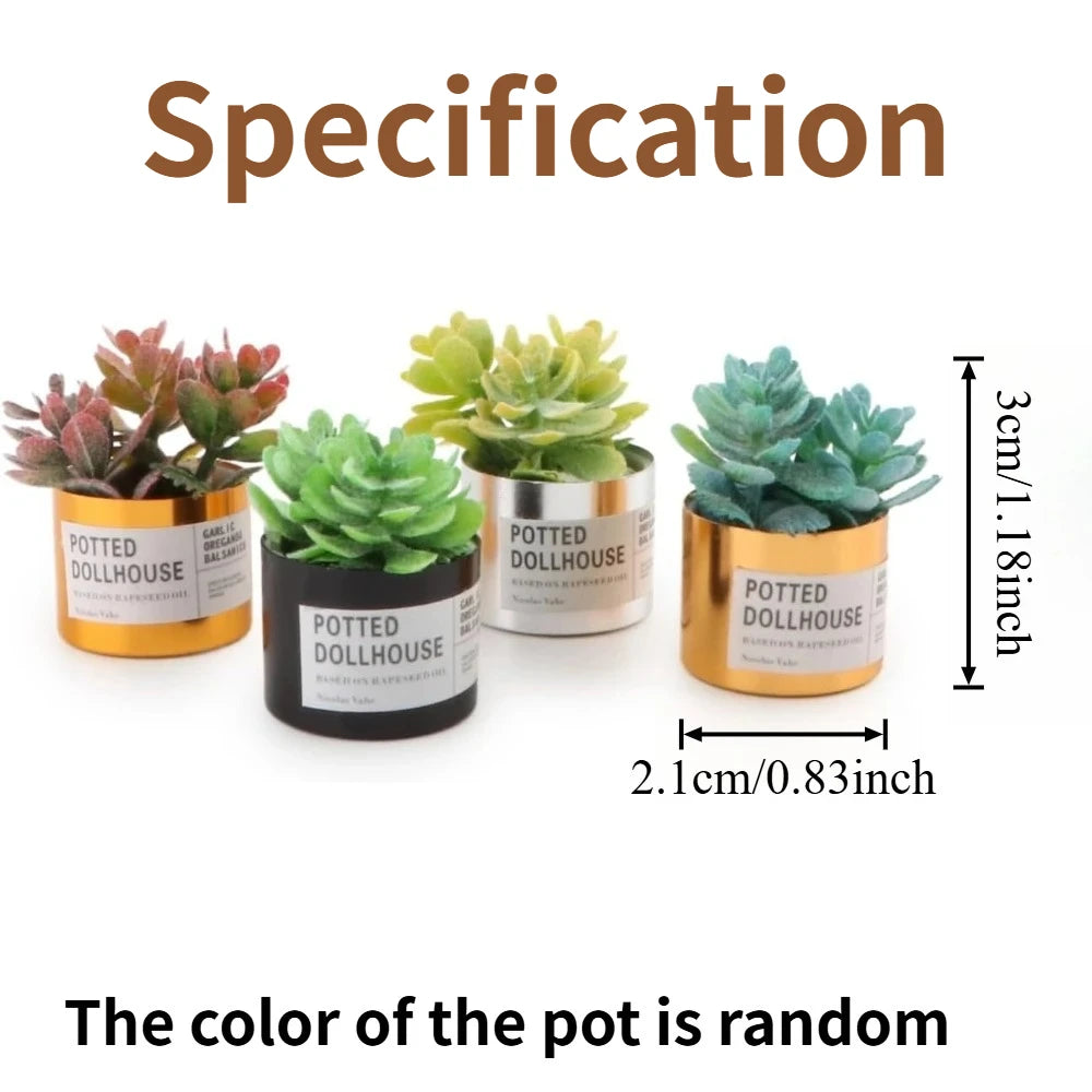 Mini Plastic Succulent Pots – Fairy Garden & Dollhouse Decor