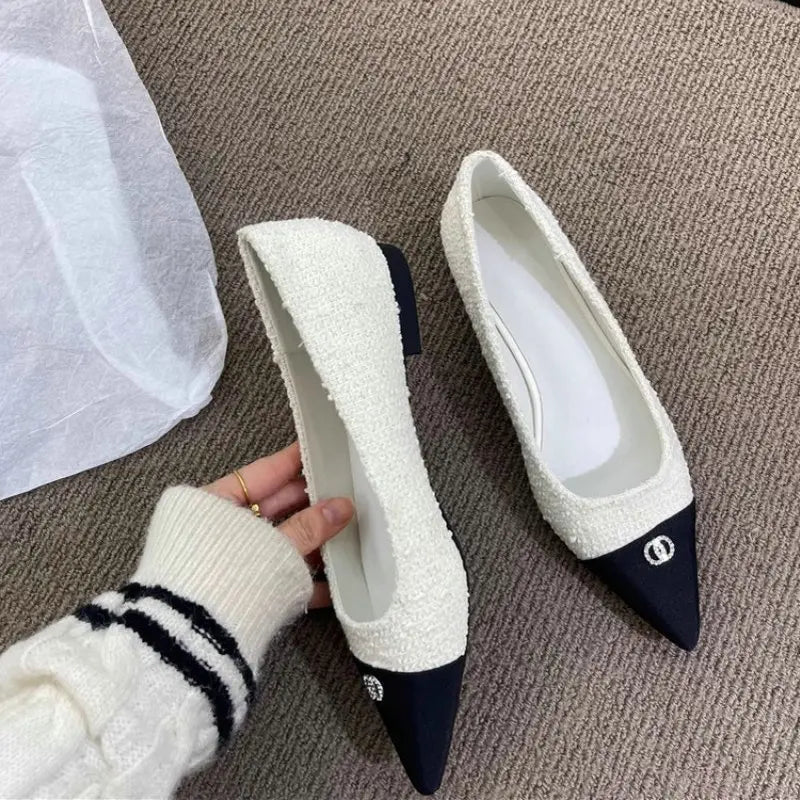 Flat Shoes for Women Spring and Autumn 2025 New Pointed Toe Shallow Mouth Women's Shoes Ladies Loafers Plus Size 42 43 44 Zpaxo