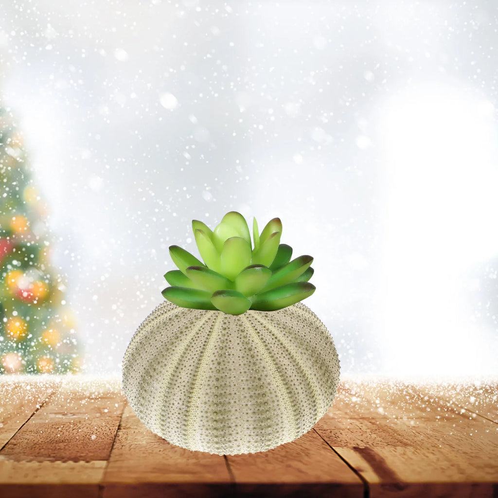 Sea Urchin Shells Creative Pineapple Plant Pots Natural Air Holders