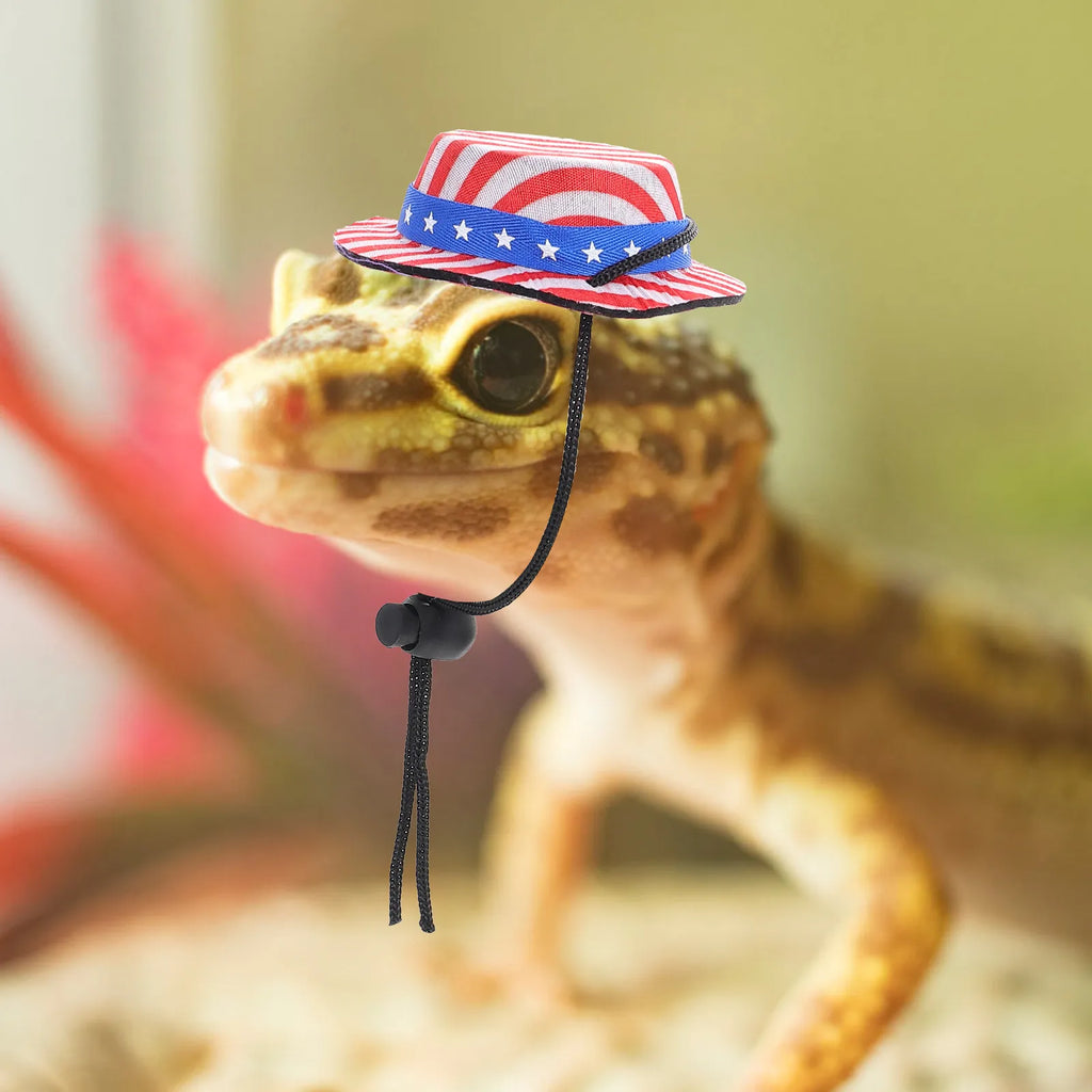 Star Hat Cloak Creative Wear-resistant Lizard Costume Independence