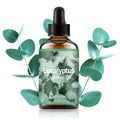 EUCALYPTUS ESSENTIAL OIL is moisturizing and nourishing massage oil suitable for skincare, fragrance, massage, all skin types. Zpaxo 30ml EUCALYPTUS Other