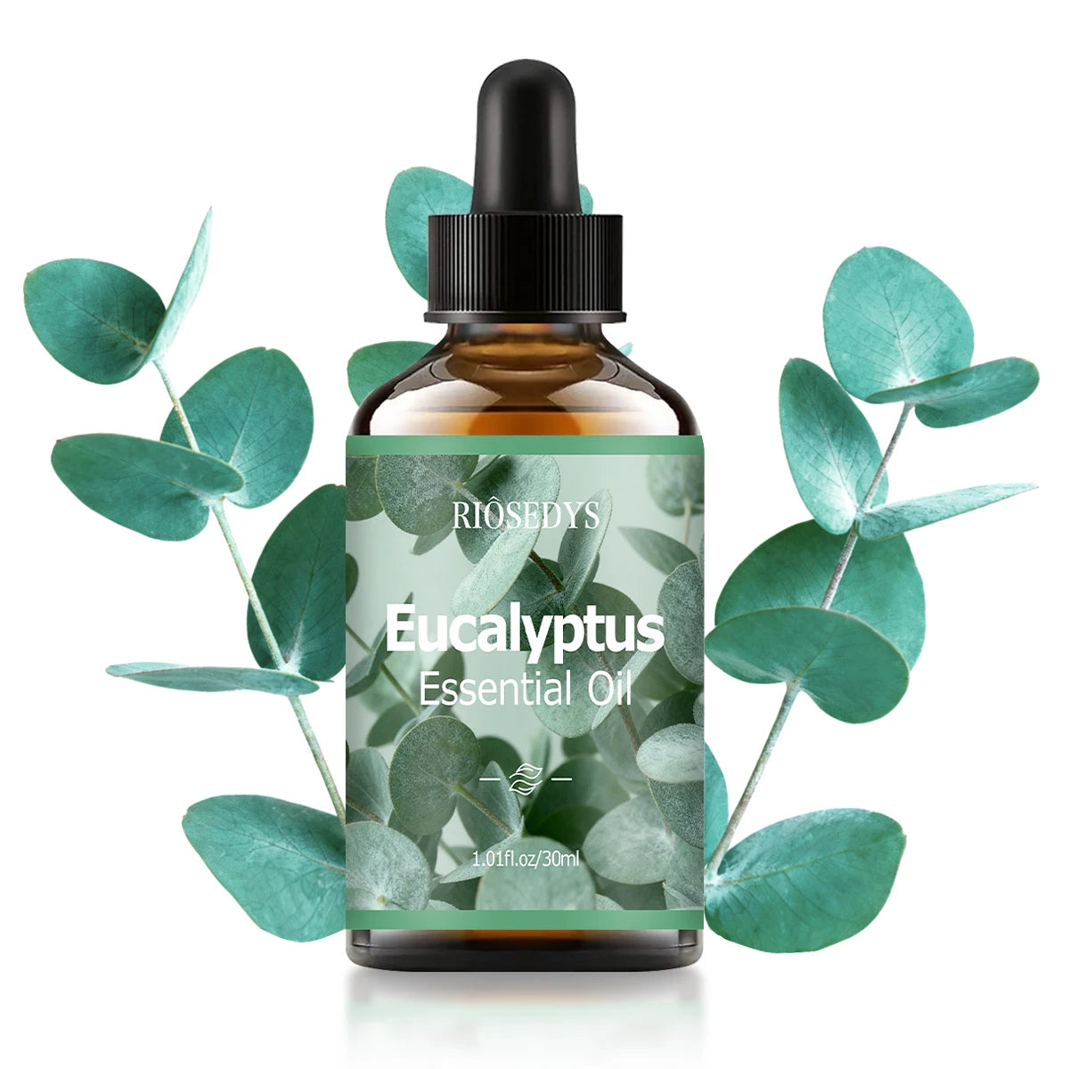 EUCALYPTUS ESSENTIAL OIL is moisturizing and nourishing massage oil suitable for skincare, fragrance, massage, all skin types. Zpaxo 30ml EUCALYPTUS Other