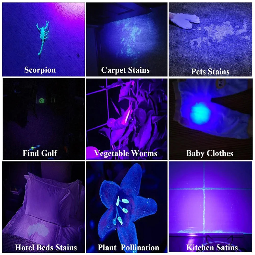 395nm UV Pocket Flashlight – Ultraviolet Inspection Torch