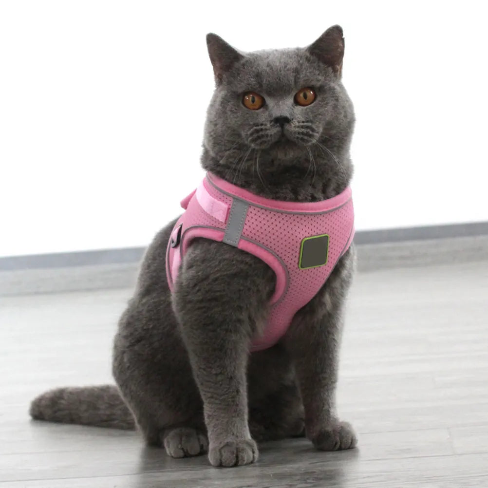 Reflective Dog Harness Vest Pet Chest Strap Leash Puppy Outdoor Night