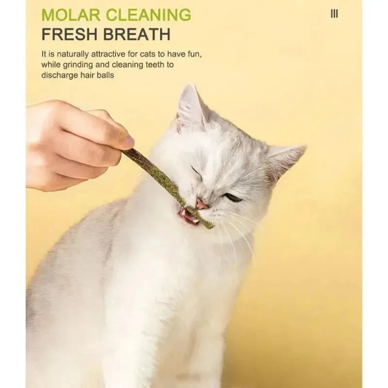 Natural Silvervine Matatabi Cat Chew Sticks – 6–24 Pack