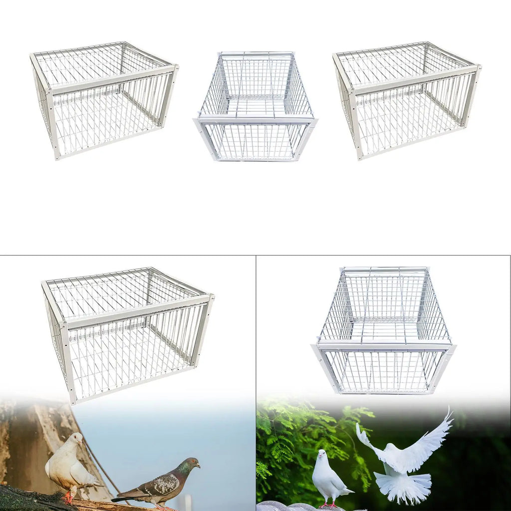 Pigeon Trap Cage – Humane Single Entry Bird Trap for Farms Bird Trap Cage Zpaxo