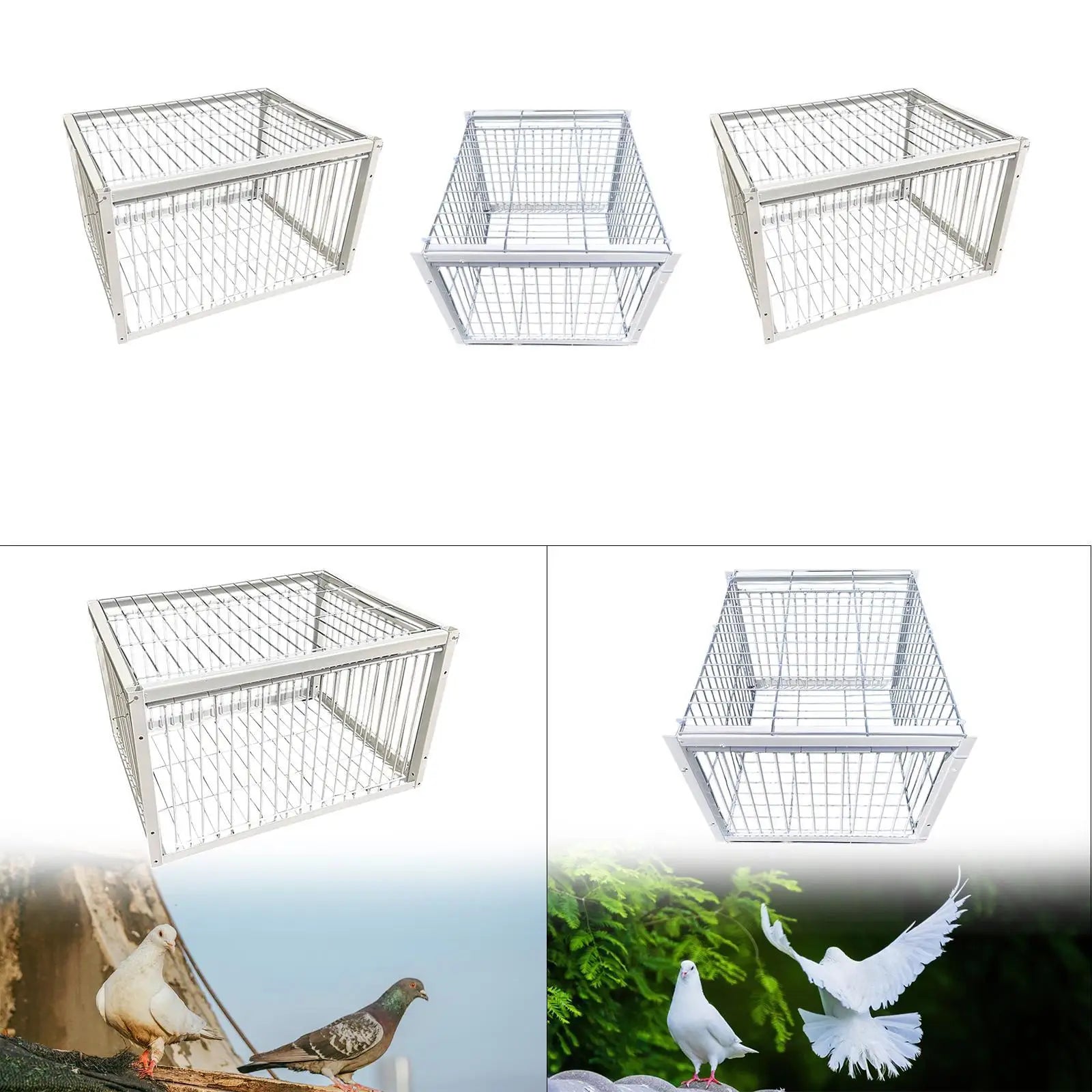 Pigeon Trap Cage – Humane Single Entry Bird Trap for Farms Bird Trap Cage Zpaxo